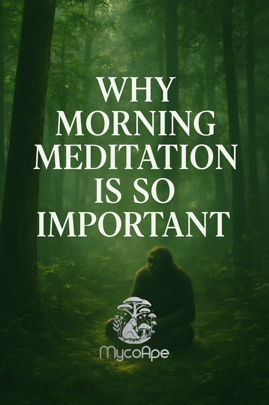 Why Morning Meditation Is So Important (and How to Make It Work for You)