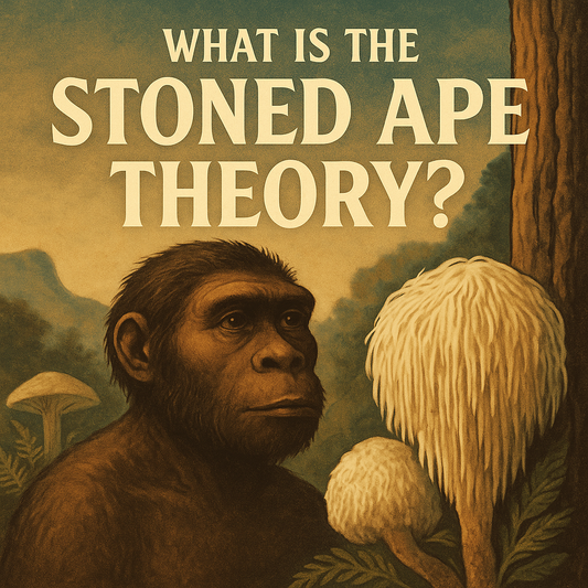 What Is the Stoned Ape Theory? Ancient Mushrooms, Modern Minds & Why We Built MycoApe