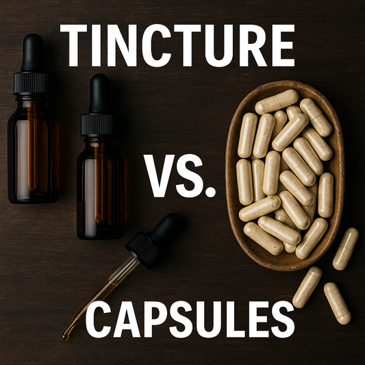 Tincture vs Capsule: Best Nootropic Form for Focus