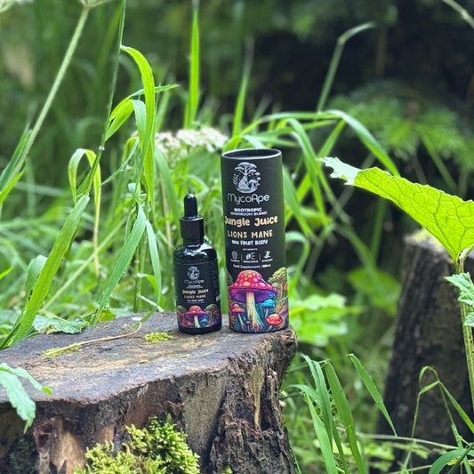 Dropper bottle of Jungle Juice mushroom tincture with modern packaging